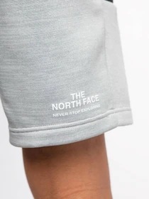 Шорты The North Face Ma Fleece модель NF0A5IEXGAU1 Фото