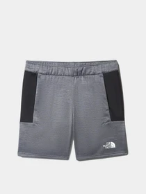 Шорты The North Face Ma Fleece модель NF0A5IEXGAU1 Фото