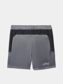 Шорты The North Face Ma Fleece модель NF0A5IEXGAU1 Фото