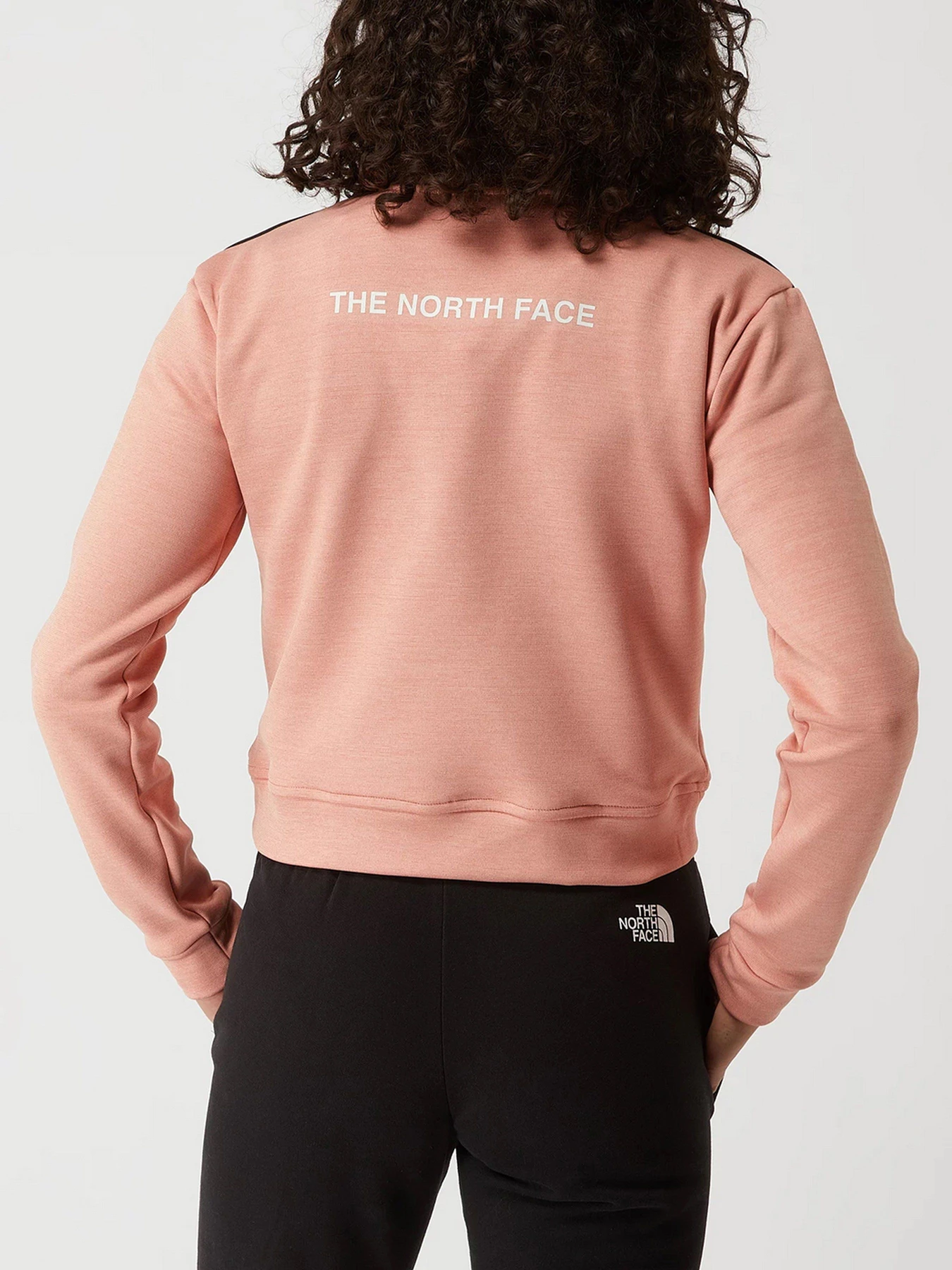 Худи и свитшоты The North Face Ma 1/4 Zip Fleece модель NF0A5IEZ5W21 Худи и свитшоты The North Face Ma 1/4 Zip Fleece модель NF0A5IEZ5W21 Фото