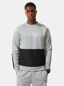 Худи и свитшоты The North Face Ma Crew модель NF0A5IERGAU1 Фото