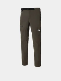 Брюки The North Face Lightning модель NF0A495NKR51 Фото