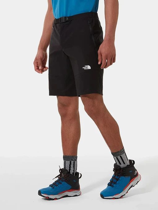 Шорти The North Face Lightning модель NF0A495OJK31 Фото