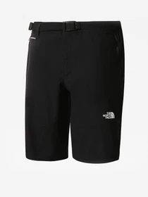 Шорти The North Face Lightning модель NF0A495OJK31 Фото