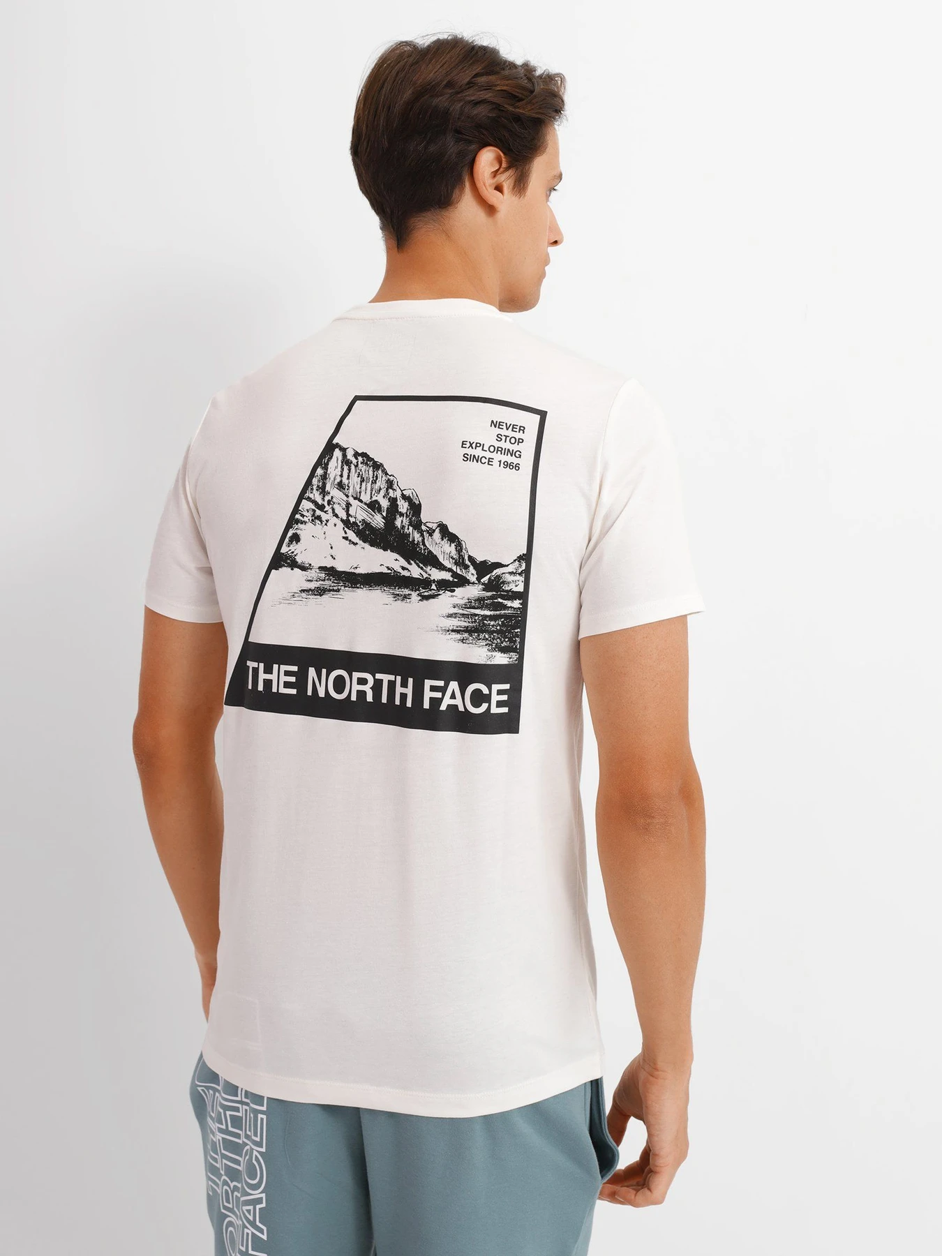 Футболки и поло The North Face Foundation Tee модель NF0A55EFN3N1 Футболки и поло The North Face Foundation Tee модель NF0A55EFN3N1 Фото