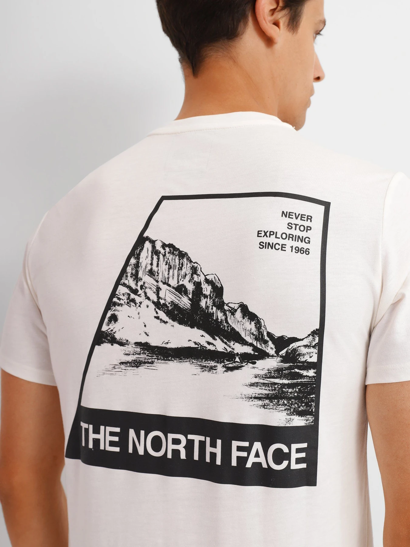 Футболки и поло The North Face Foundation Tee модель NF0A55EFN3N1 Футболки и поло The North Face Foundation Tee модель NF0A55EFN3N1 Фото