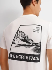 Футболки и поло The North Face Foundation Tee модель NF0A55EFN3N1 Фото