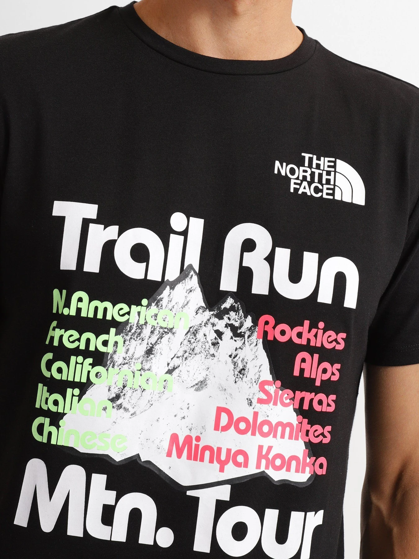 Футболки и поло The North Face Foundation Tee модель NF0A55EFAGS1 Футболки и поло The North Face Foundation Tee модель NF0A55EFAGS1 Фото