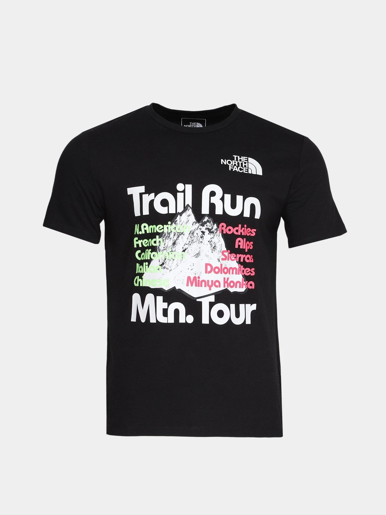 Футболки и поло The North Face Foundation Tee модель NF0A55EFAGS1 Футболки и поло The North Face Foundation Tee модель NF0A55EFAGS1 Фото