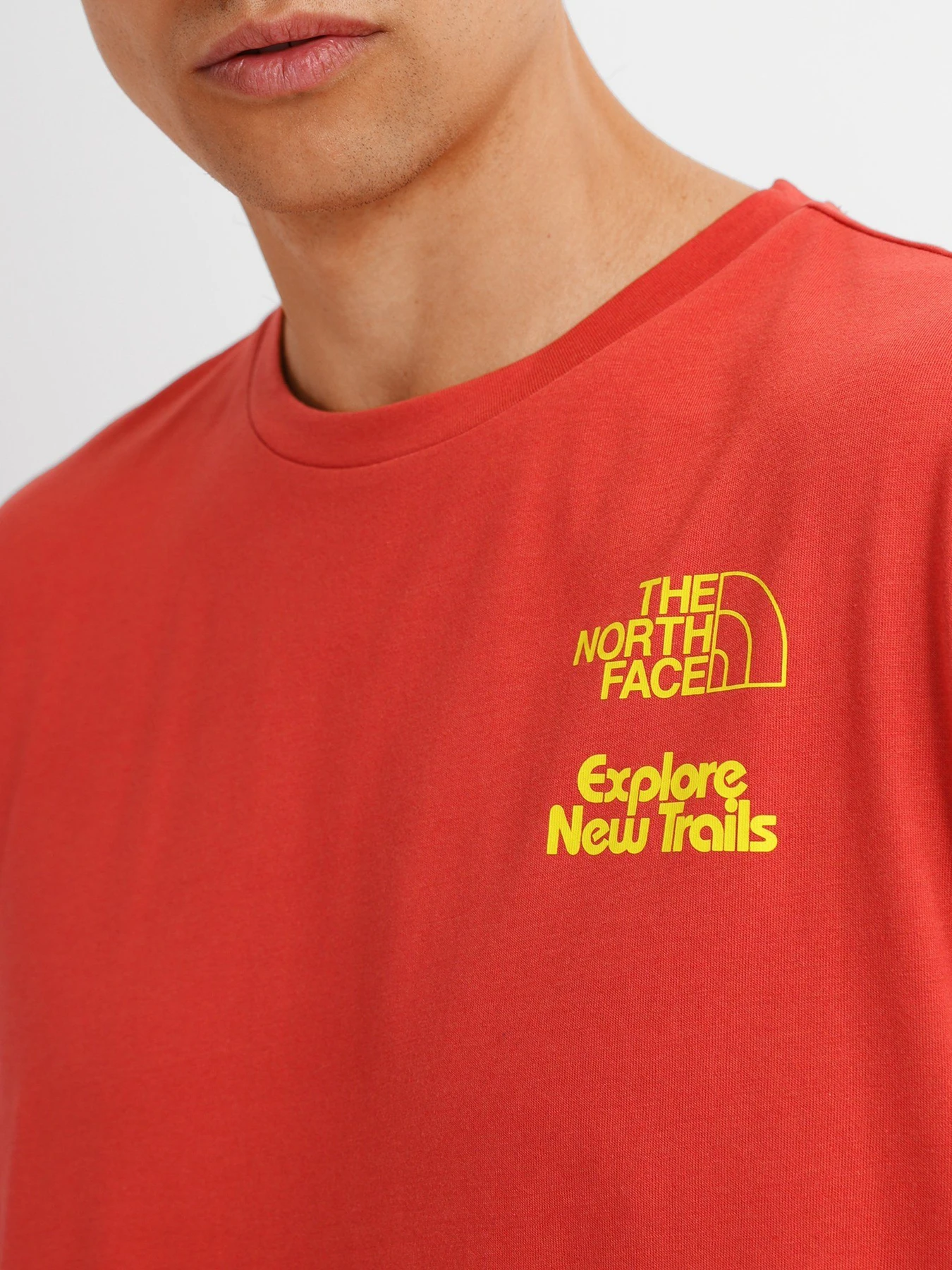Футболки и поло The North Face Foundation Tee модель NF0A55EFUBR1 Футболки и поло The North Face Foundation Tee модель NF0A55EFUBR1 Фото