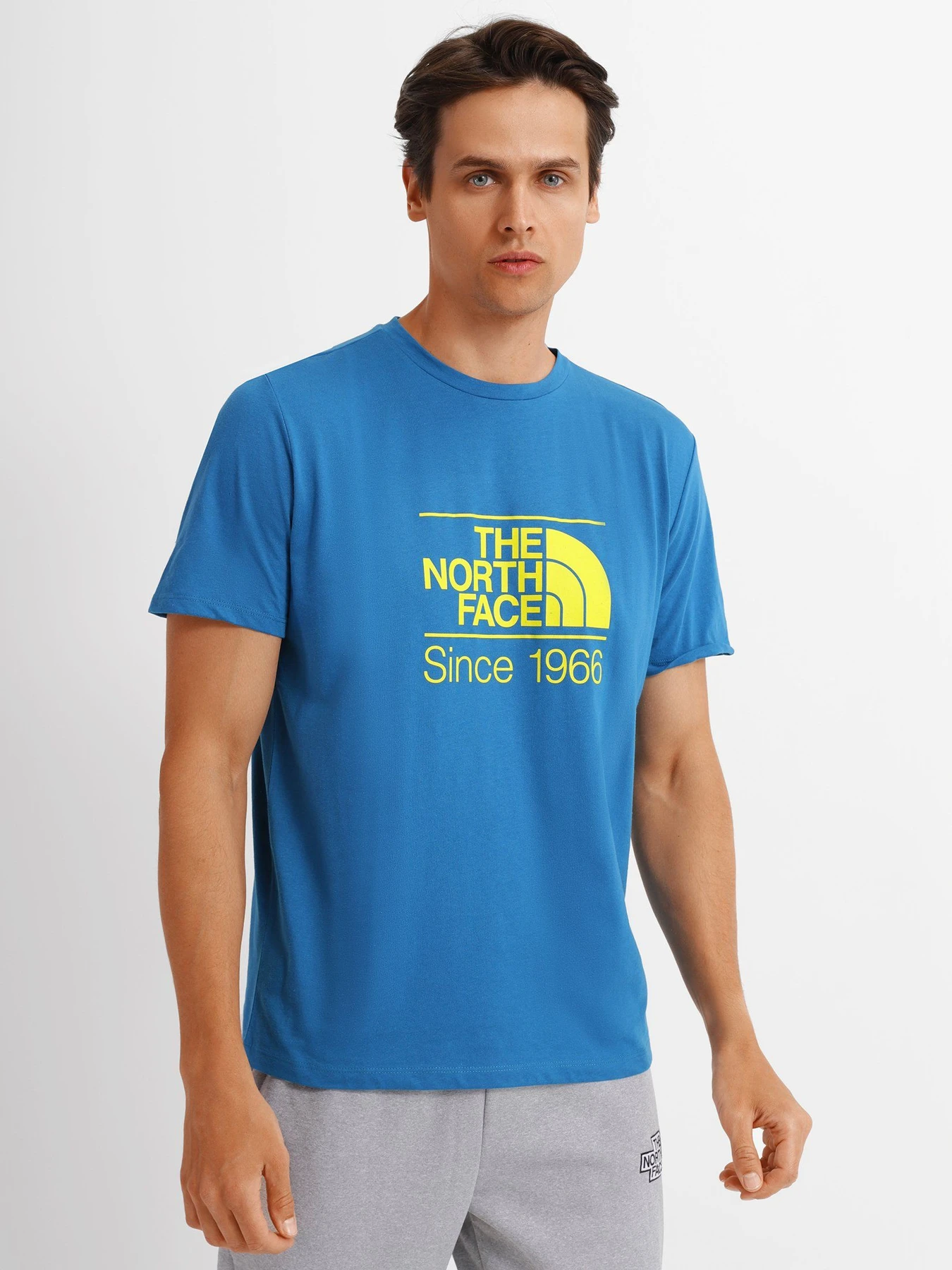 Футболки и поло The North Face Foundation Tee модель NF0A55EFM191 Футболки и поло The North Face Foundation Tee модель NF0A55EFM191 Фото