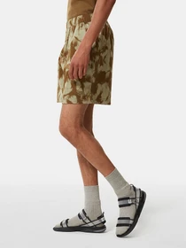 Шорты The North Face Class V модель NF0A7QLC53M1 Фото