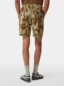 Шорты The North Face Class V модель NF0A7QLC53M1 Фото
