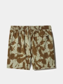 Шорты The North Face Class V модель NF0A7QLC53M1 Фото