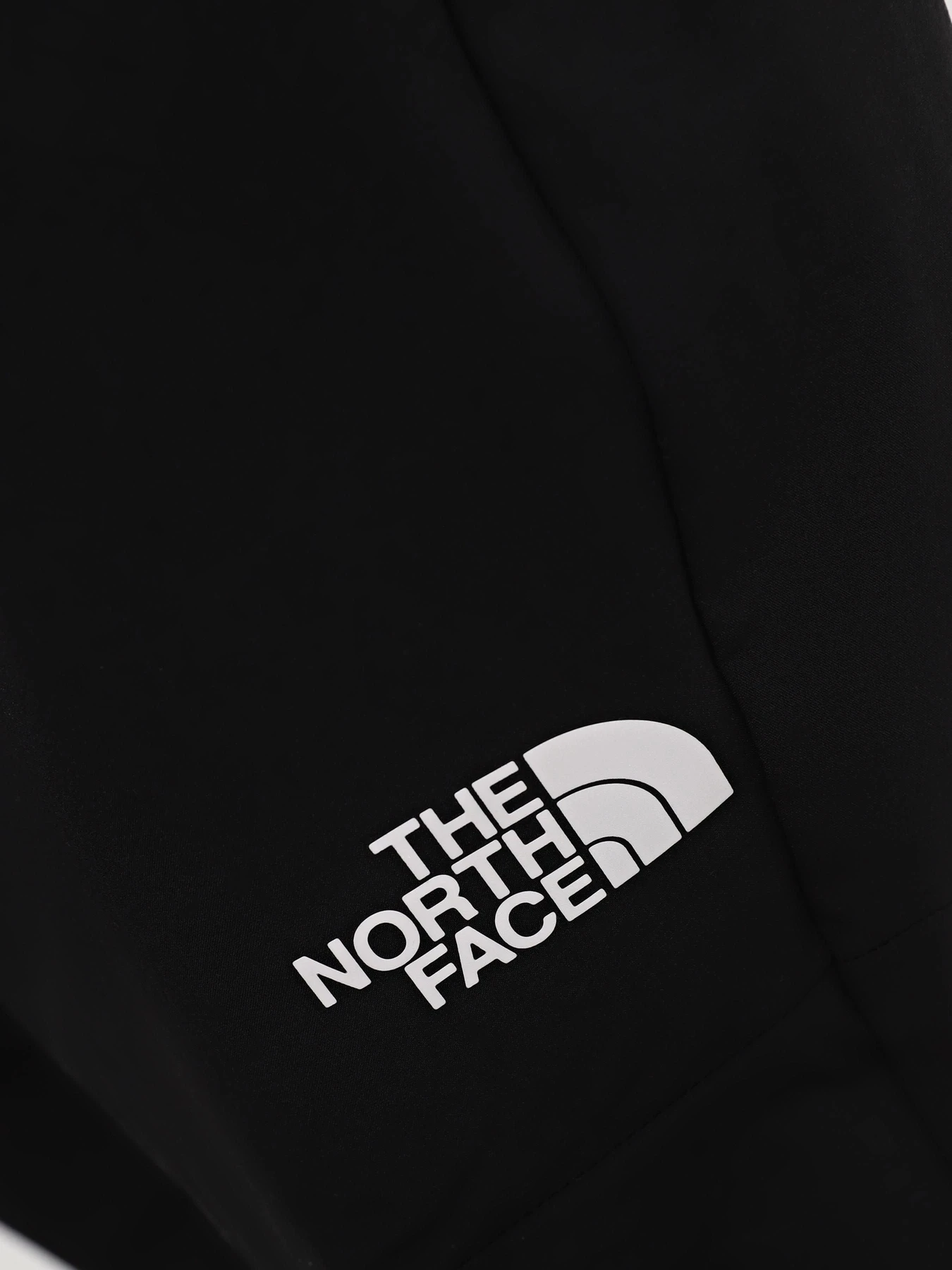 Брюки The North Face Movmynt модель NF0A537CJK31 Брюки The North Face Movmynt модель NF0A537CJK31 Фото