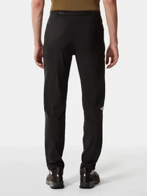 Брюки The North Face Circadian модель NF0A558EKY41 Фото