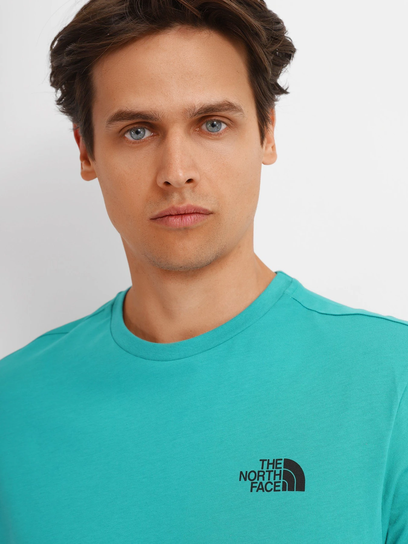 Футболки и поло The North Face SIMPLE DOME LIFESTYLE модель NF0A2TX52KQ1 Футболки и поло The North Face SIMPLE DOME LIFESTYLE модель NF0A2TX52KQ1 Фото