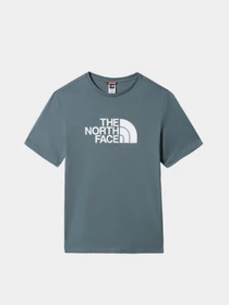 Футболки и поло The North Face Easy модель NF0A2TX3A9L1 Фото