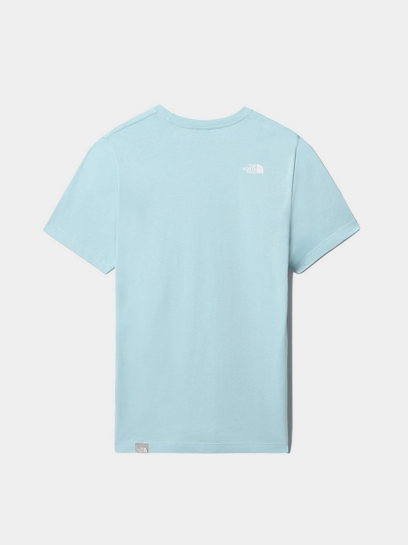Футболки и поло The North Face Easy модель NF0A4T1Q3R31 Футболки и поло The North Face Easy модель NF0A4T1Q3R31 Фото