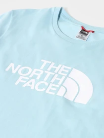 Футболки и поло The North Face Easy модель NF0A4T1Q3R31 Фото