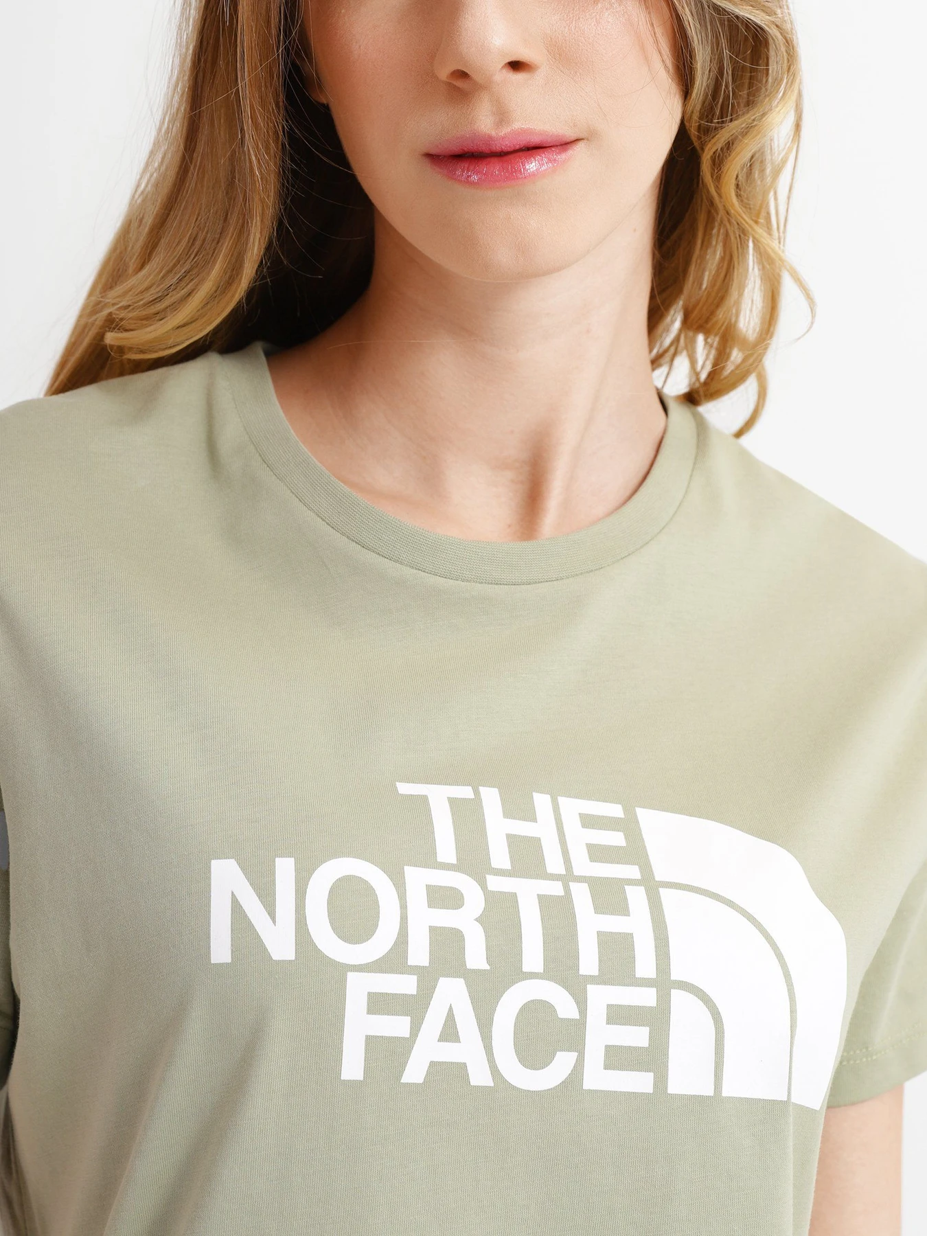 Футболки і поло The North Face Easy модель NF0A4T1Q3X31 Футболки і поло The North Face Easy модель NF0A4T1Q3X31 Фото