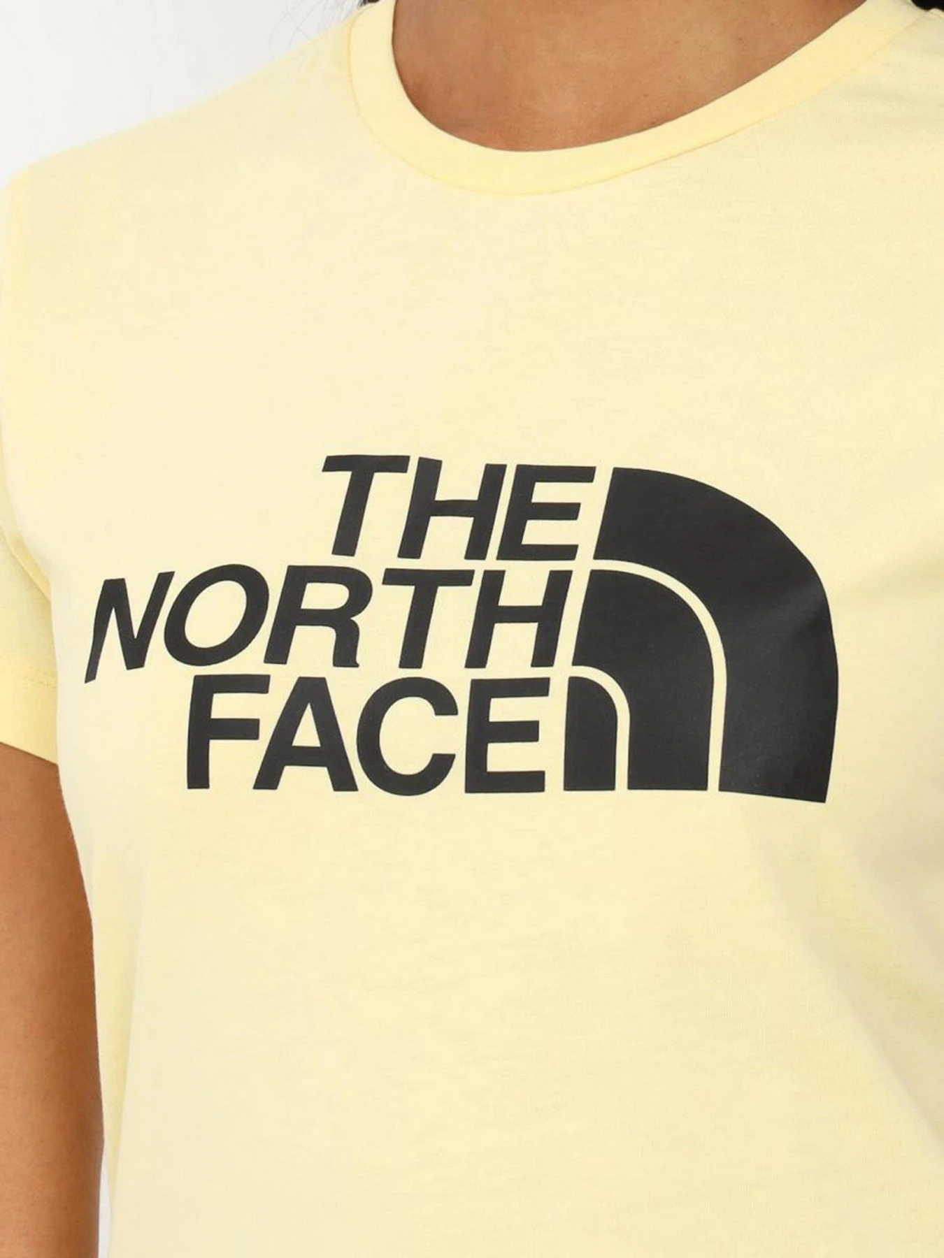 Футболки і поло The North Face Easy модель NF0A4T1Q3R41 Фото