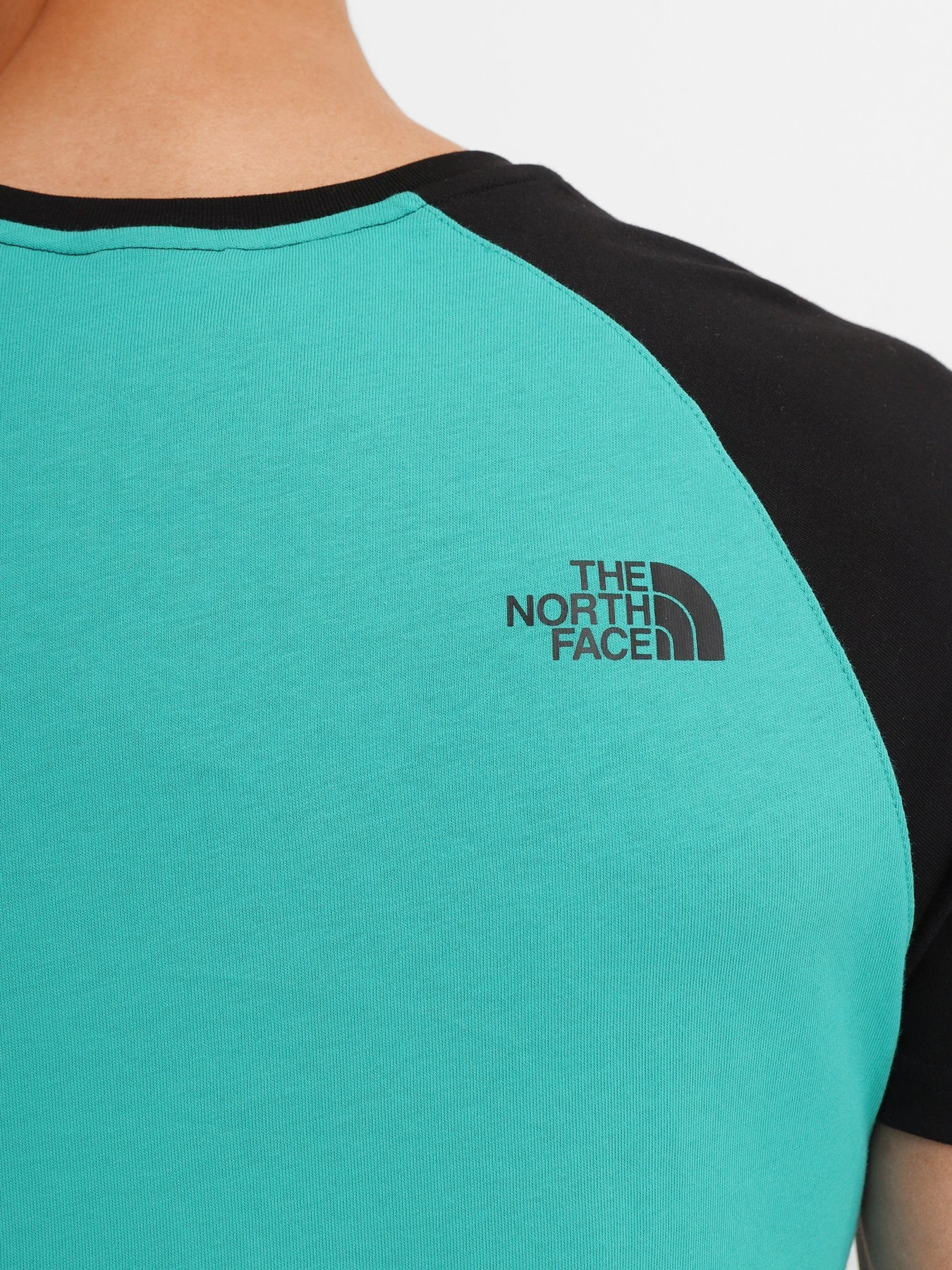 Футболки і поло The North Face Raglan Easy модель NF0A37FVZCV1 Футболки і поло The North Face Raglan Easy модель NF0A37FVZCV1 Фото