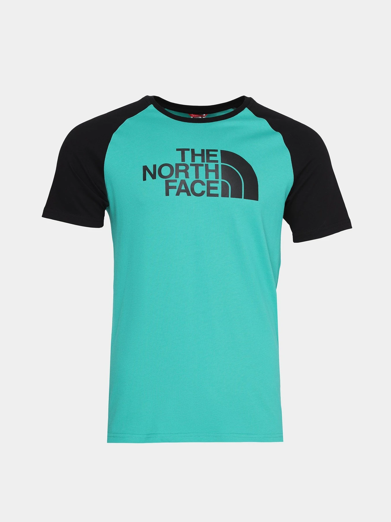 Футболки і поло The North Face Raglan Easy модель NF0A37FVZCV1 Футболки і поло The North Face Raglan Easy модель NF0A37FVZCV1 Фото