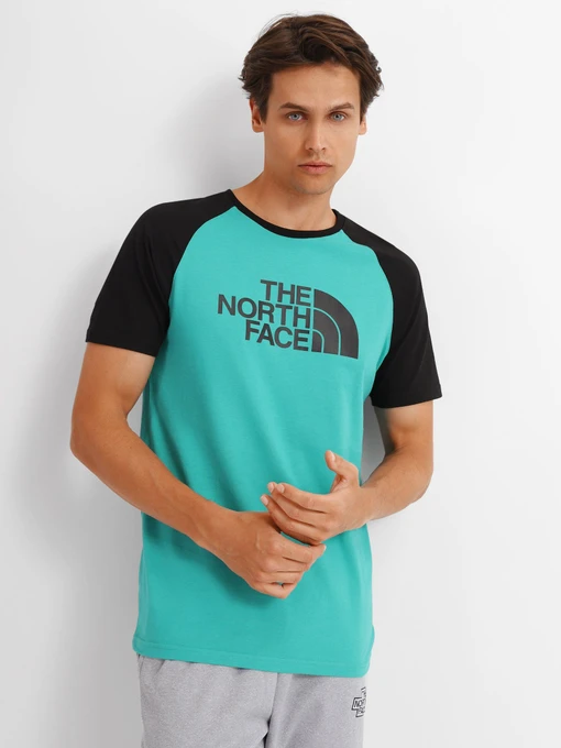 Футболки и поло The North Face Raglan Easy модель NF0A37FVZCV1 Фото