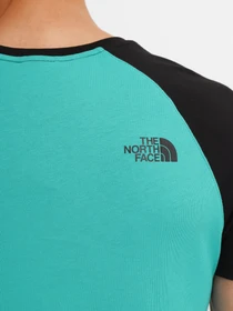 Футболки і поло The North Face Raglan Easy модель NF0A37FVZCV1 Фото