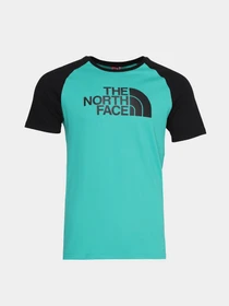Футболки і поло The North Face Raglan Easy модель NF0A37FVZCV1 Фото