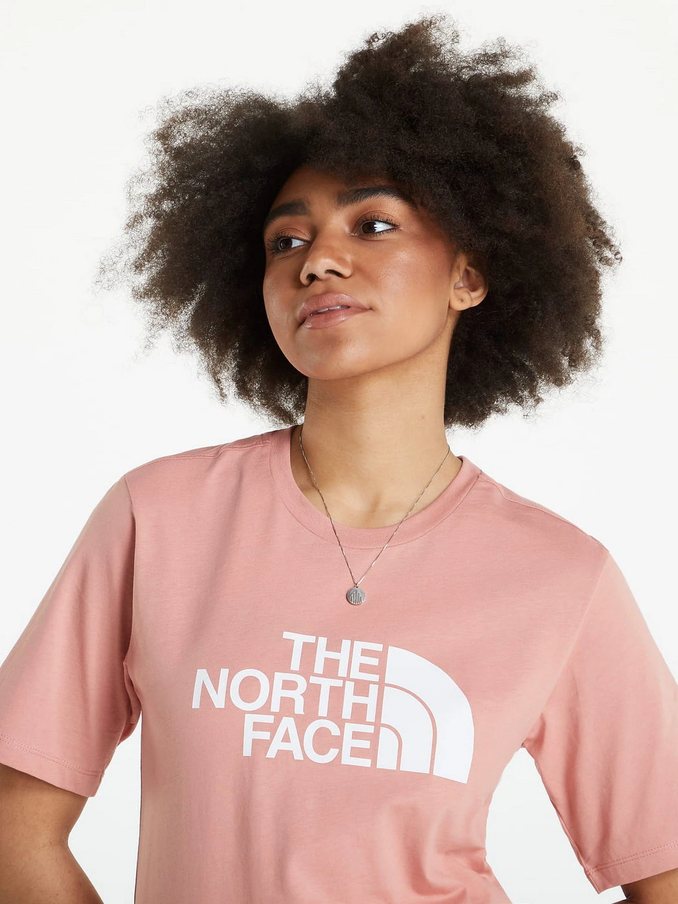 Футболки и поло The North Face Easy модель NF0A4M5PHCZ1 Футболки и поло The North Face Easy модель NF0A4M5PHCZ1 Фото