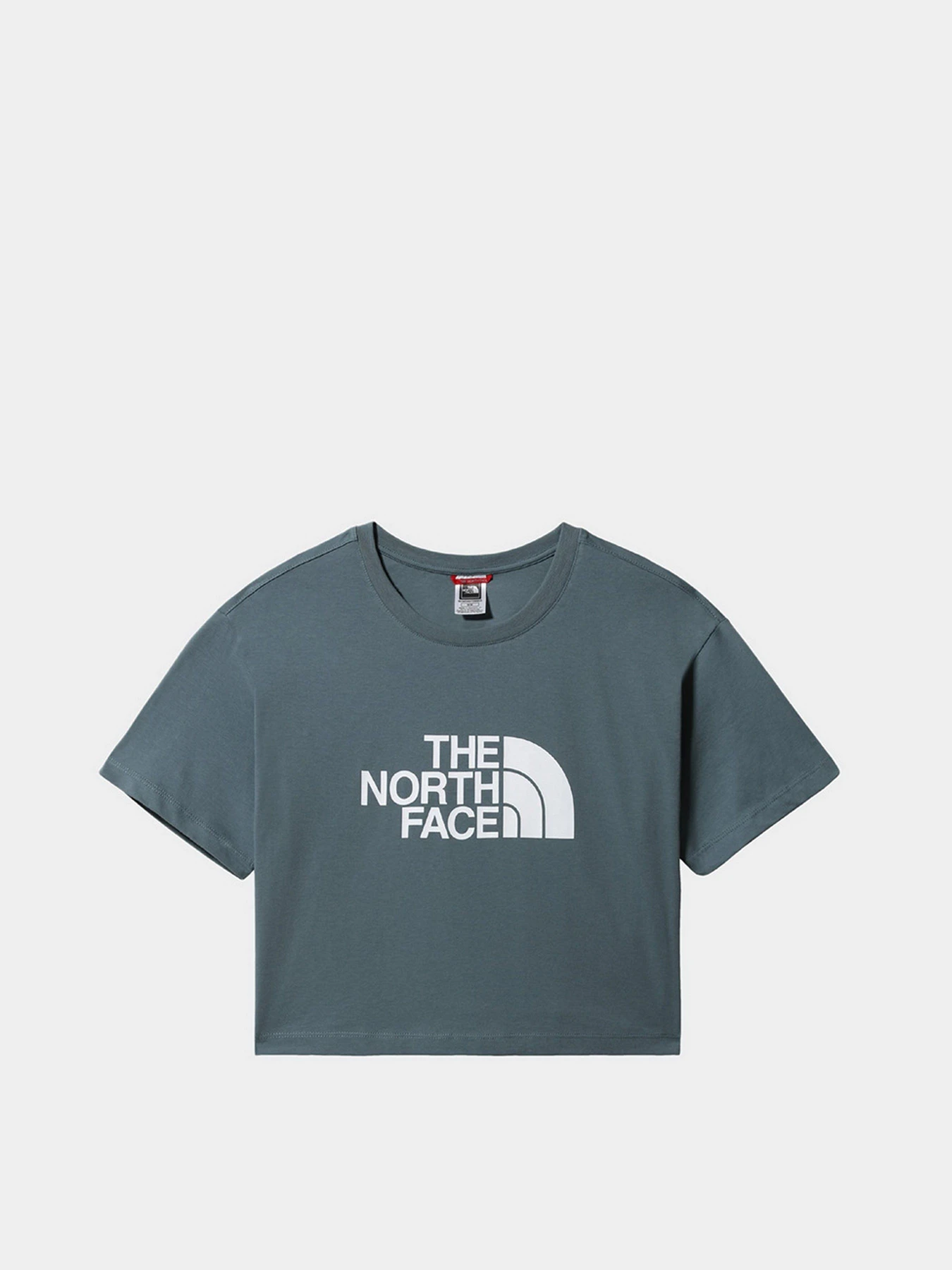 Футболки и поло The North Face Cropped Easy модель NF0A4T1RA9L1 Футболки и поло The North Face Cropped Easy модель NF0A4T1RA9L1 Фото