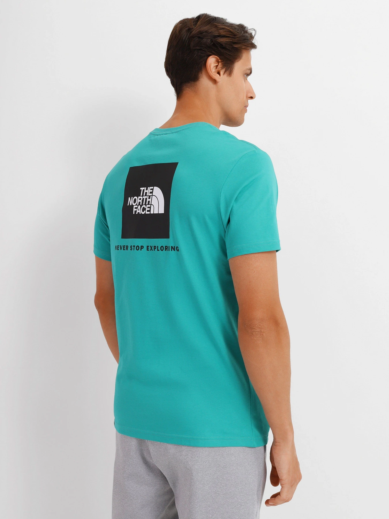 Футболки и поло The North Face Sleeve Redbox Tee модель NF0A2TX2ZCV1 Футболки и поло The North Face Sleeve Redbox Tee модель NF0A2TX2ZCV1 Фото