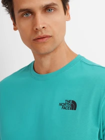 Футболки и поло The North Face Sleeve Redbox Tee модель NF0A2TX2ZCV1 Фото