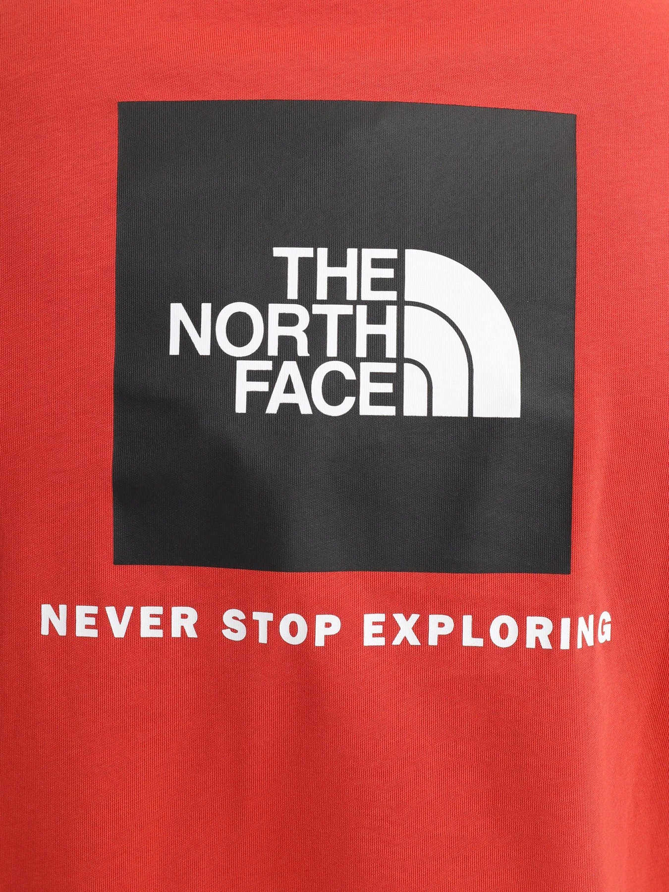 Футболки и поло The North Face Red Box модель NF0A2TX2UBR1 Футболки и поло The North Face Red Box модель NF0A2TX2UBR1 Фото