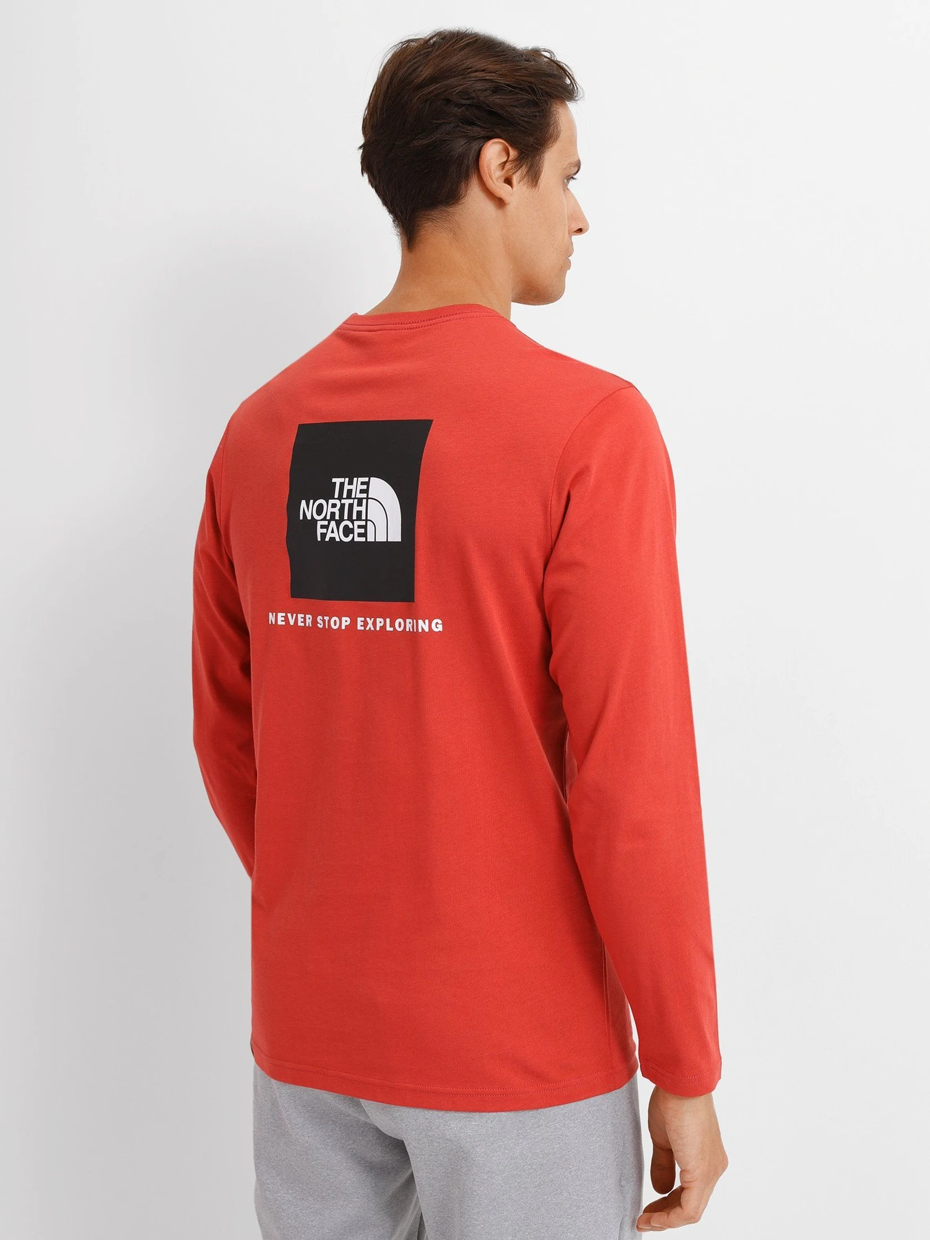 Худи и свитшоты The North Face REDBOX модель NF0A493LUBR1 Худи и свитшоты The North Face REDBOX модель NF0A493LUBR1 Фото