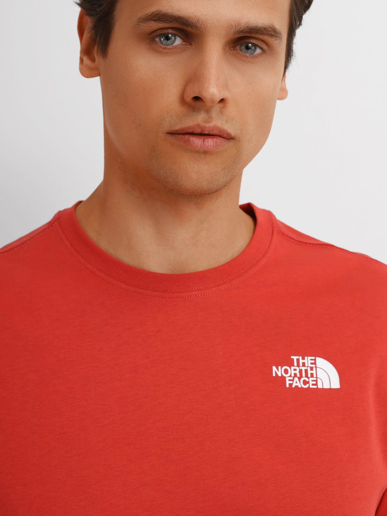 Худи и свитшоты The North Face REDBOX модель NF0A493LUBR1 Худи и свитшоты The North Face REDBOX модель NF0A493LUBR1 Фото