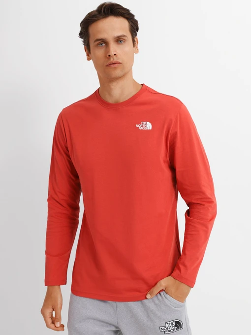 Худи и свитшоты The North Face REDBOX модель NF0A493LUBR1 Фото
