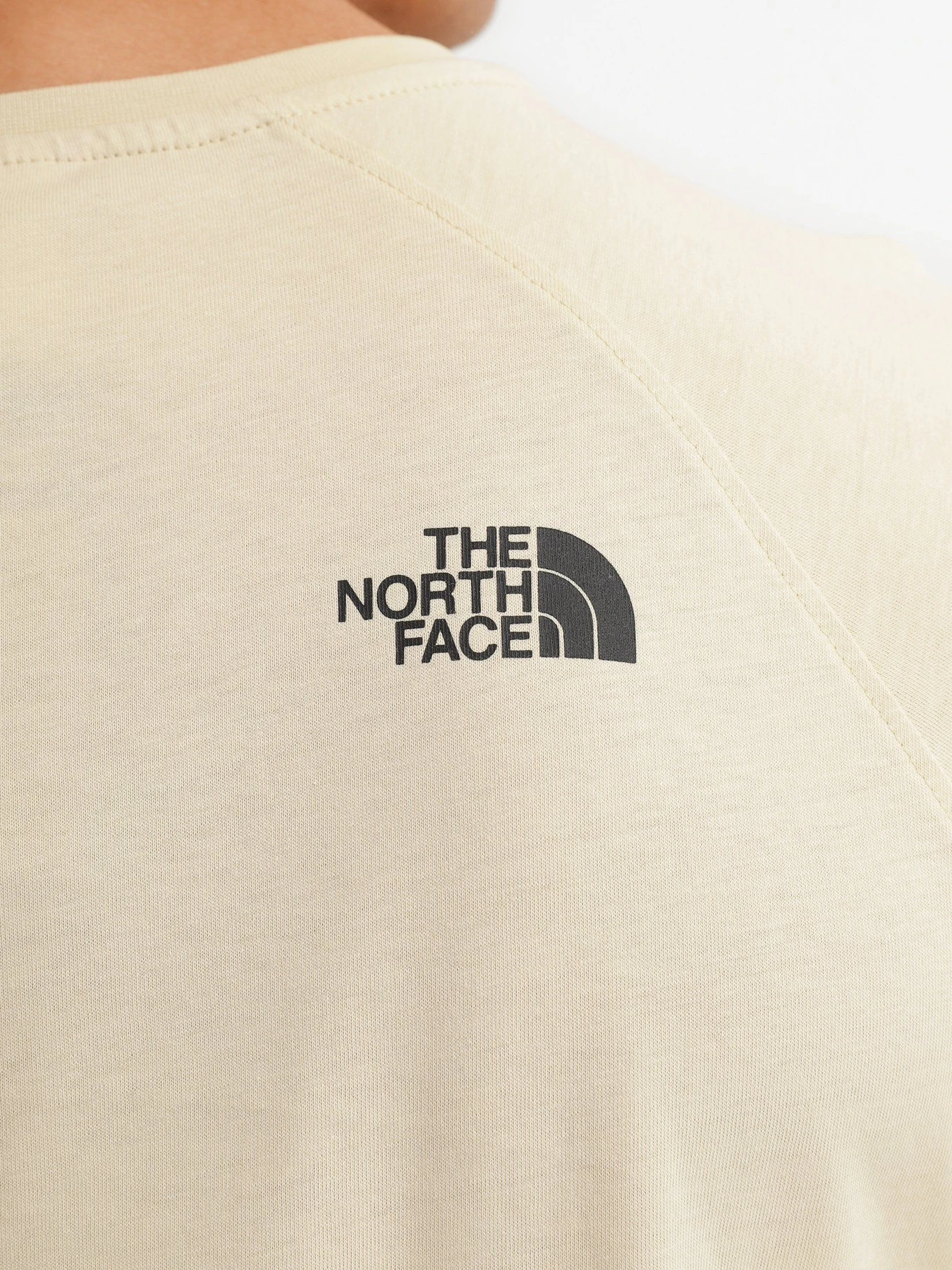 Футболки и поло The North Face SLEEVE RED BOX TEE модель NF0A3BQO3X41 Фото