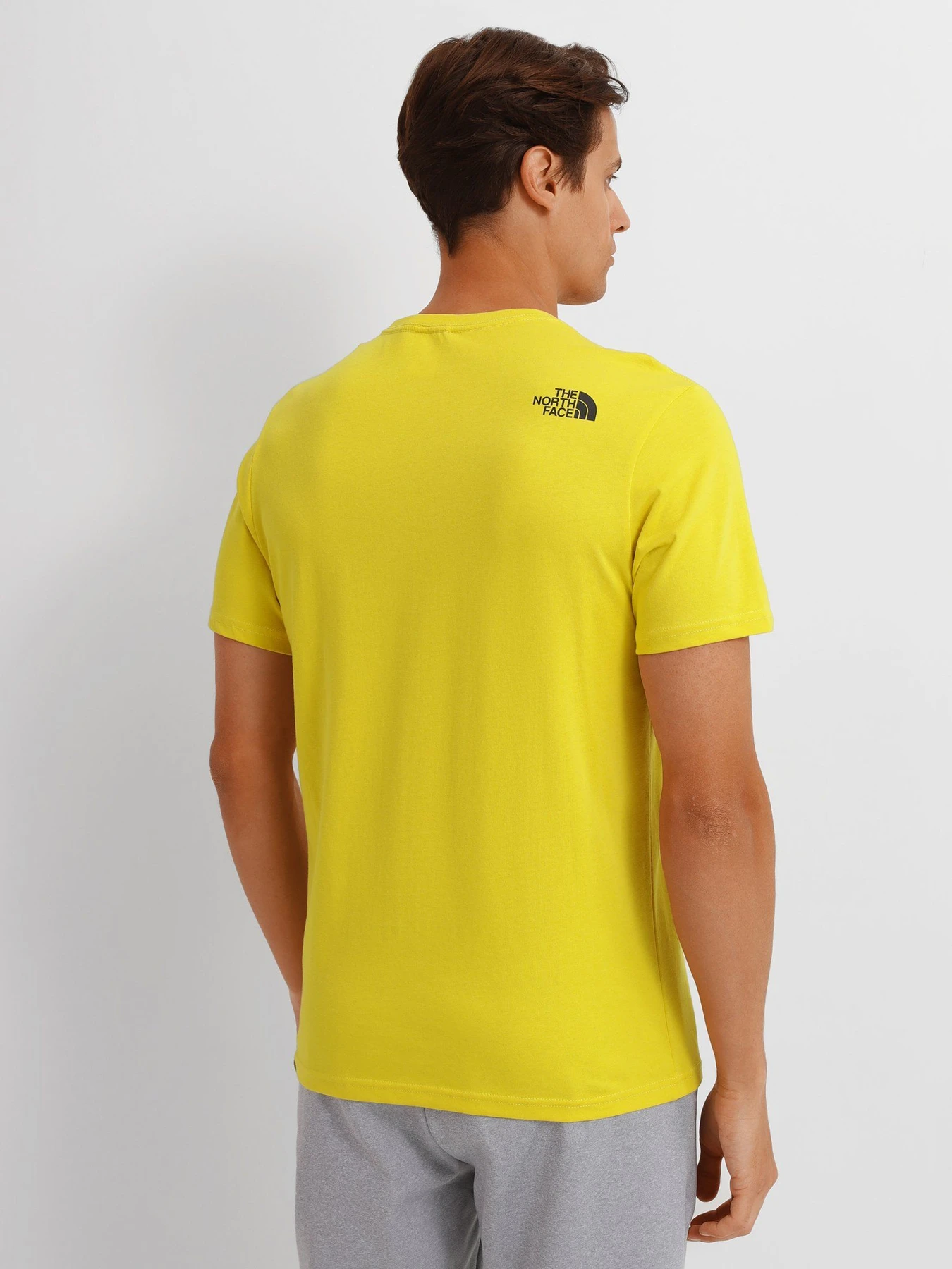 Футболки и поло The North Face FINE TEE ACID модель NF00CEQ57601 Футболки и поло The North Face FINE TEE ACID модель NF00CEQ57601 Фото
