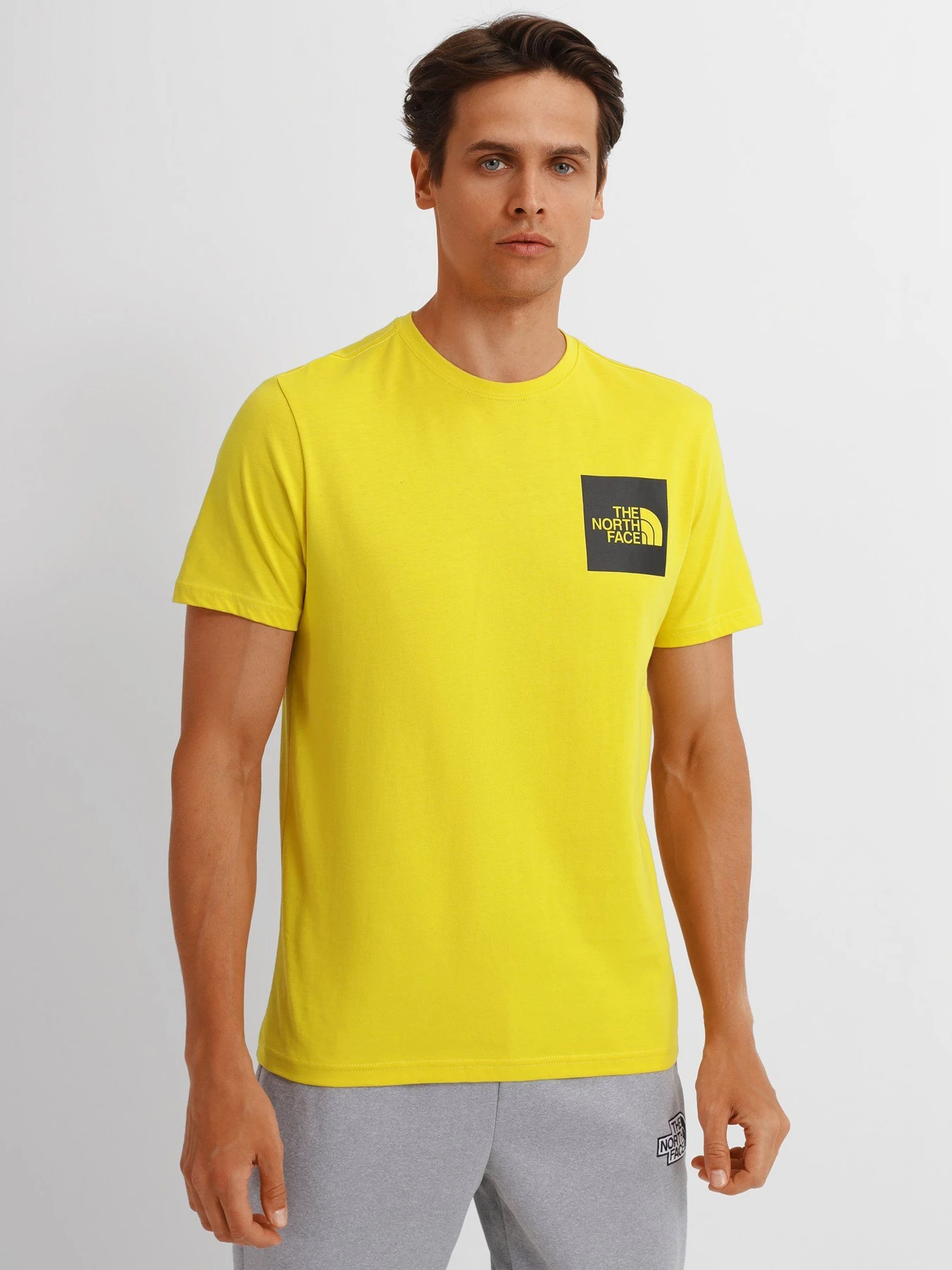 Футболки и поло The North Face FINE TEE ACID модель NF00CEQ57601 Футболки и поло The North Face FINE TEE ACID модель NF00CEQ57601 Фото