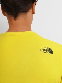 Футболки и поло The North Face FINE TEE ACID модель NF00CEQ57601 Фото