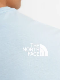 Футболки и поло The North Face Fine Alpine Equipment модель NF0A4SZU3R31 Фото