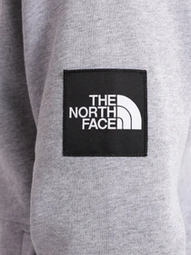 Худі та світшоти The North Face ALPINE модель NF0A3XY3DYX1 Фото