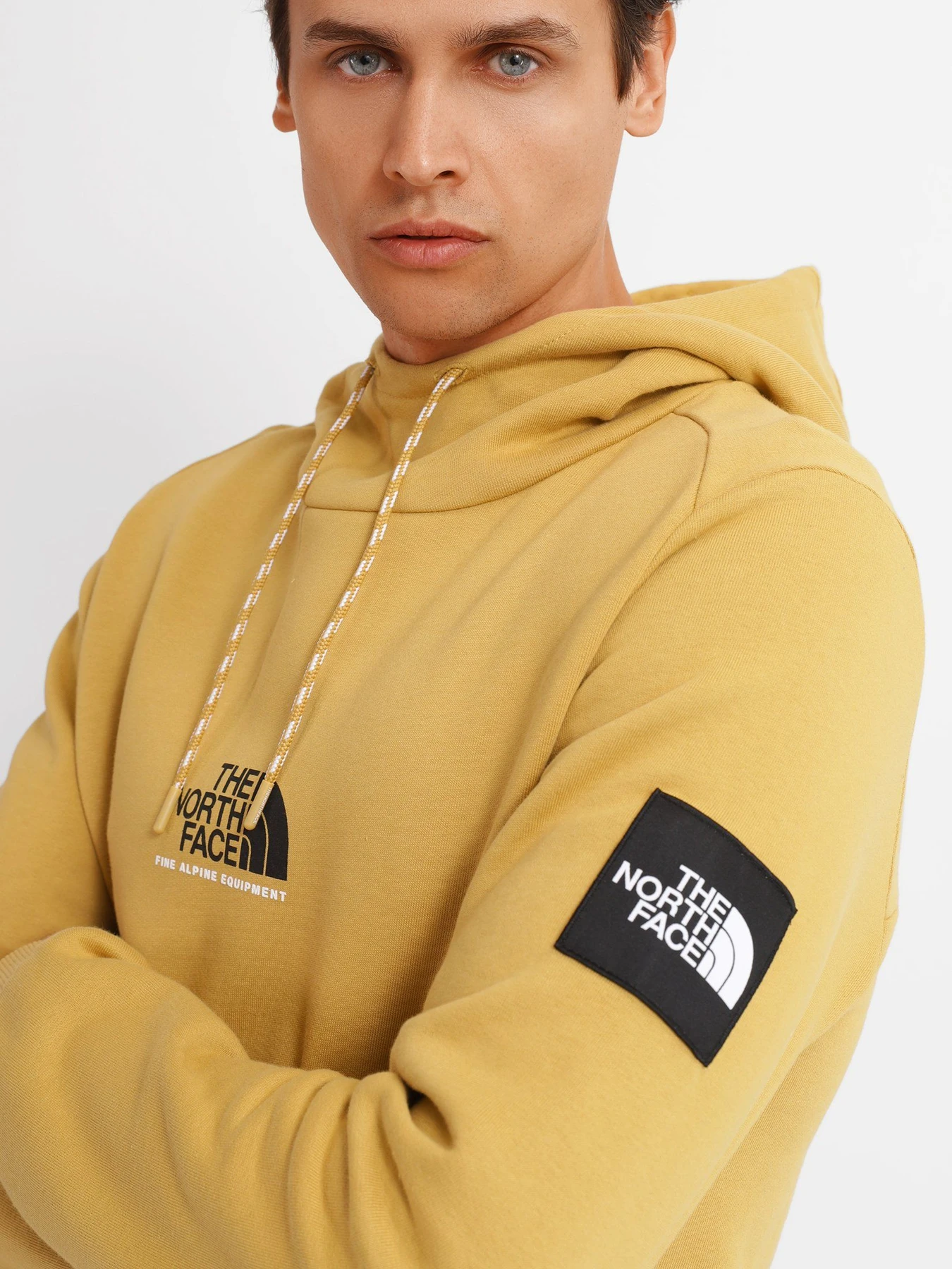 Худі та світшоти The North Face ALPINE модель NF0A3XY3ZSF1 Фото