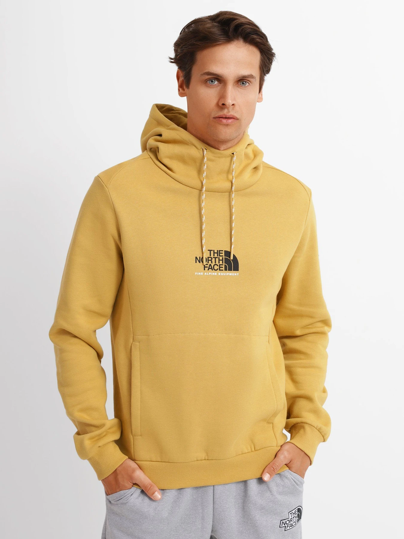 Худі та світшоти The North Face ALPINE модель NF0A3XY3ZSF1 Фото