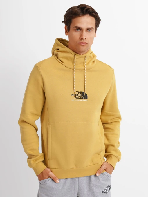 Худі та світшоти The North Face ALPINE модель NF0A3XY3ZSF1 Фото