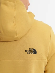 Худі та світшоти The North Face ALPINE модель NF0A3XY3ZSF1 Фото