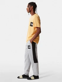 Брюки The North Face Black Box Fine Alpine Equipment модель NF0A7R2KDYX1 Фото